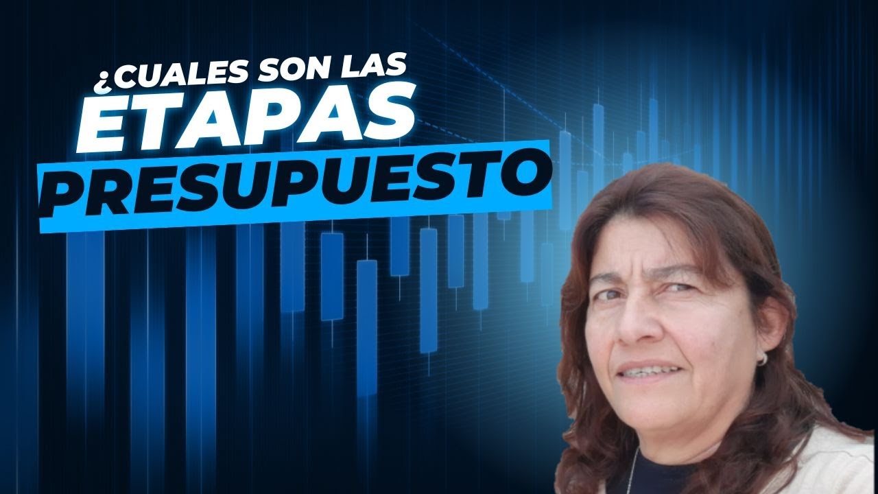 Etapas del PRESUPUESTO PUBLICO ARGENTINO ✅✅✅ Ciclo presupuestario
