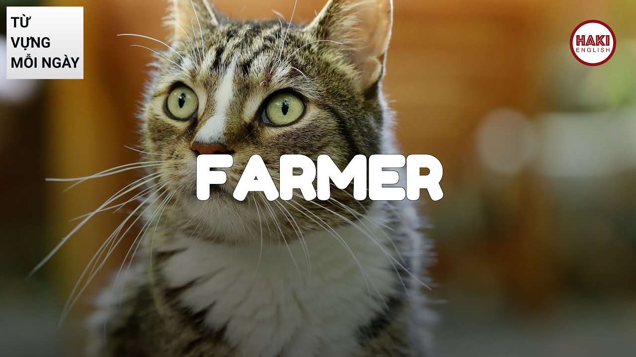 FARMER | Ph&aacute;t &acirc;m - Giải nghĩa - V&iacute; dụ | Từ vựng tiếng Anh