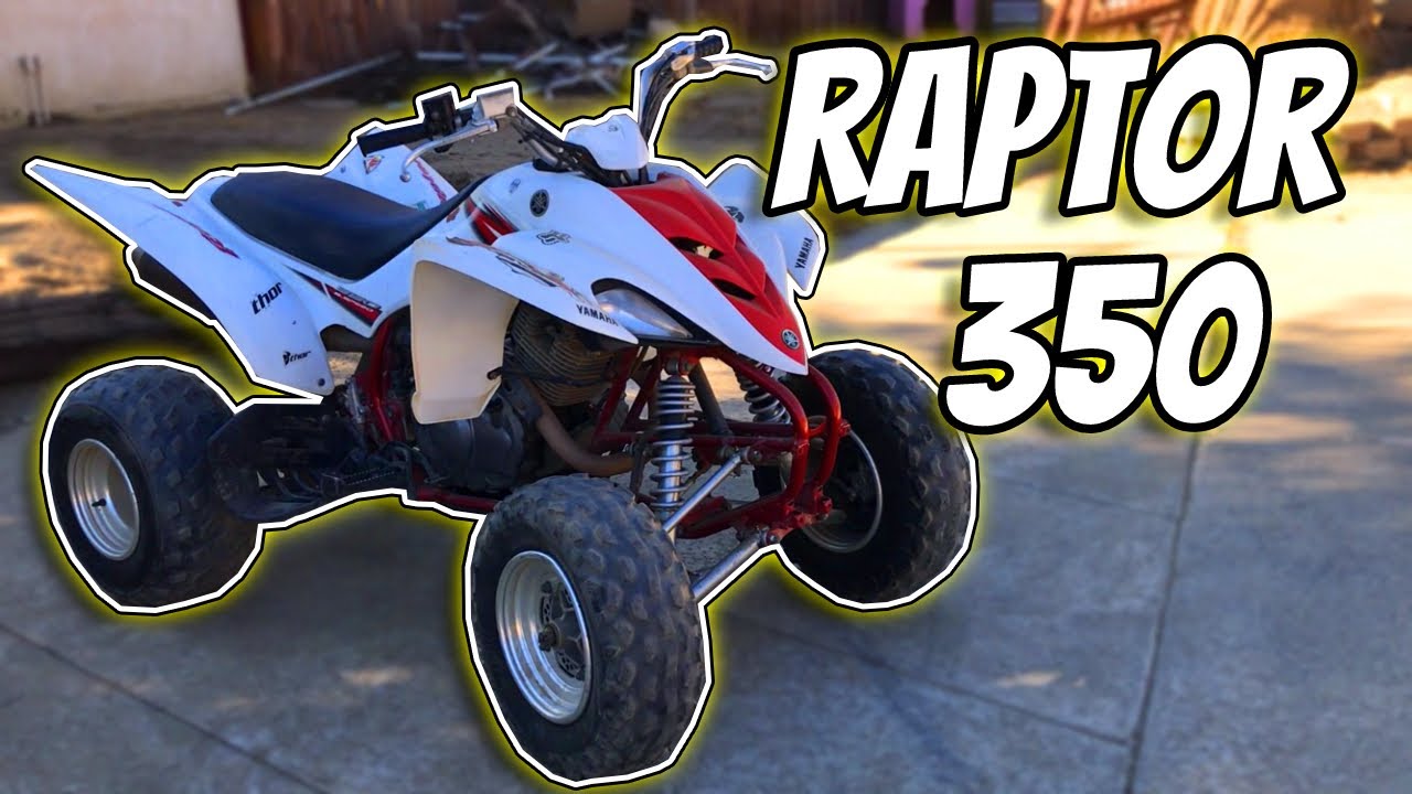 Yamaha Raptor 350 Maintenance and Tune up