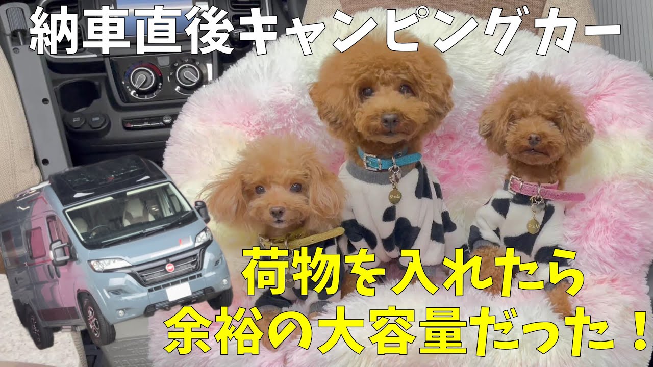 デュカトキャンピングカーに荷物を積んだら余裕の大容量だった！【ローラーチーム リビングストーンK2】