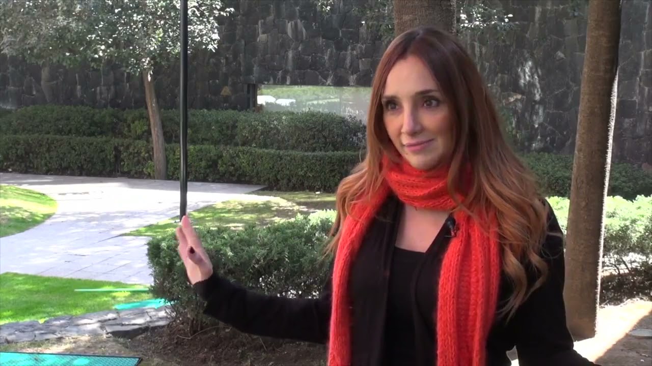 Conoce c&oacute;mo nace Weilai.