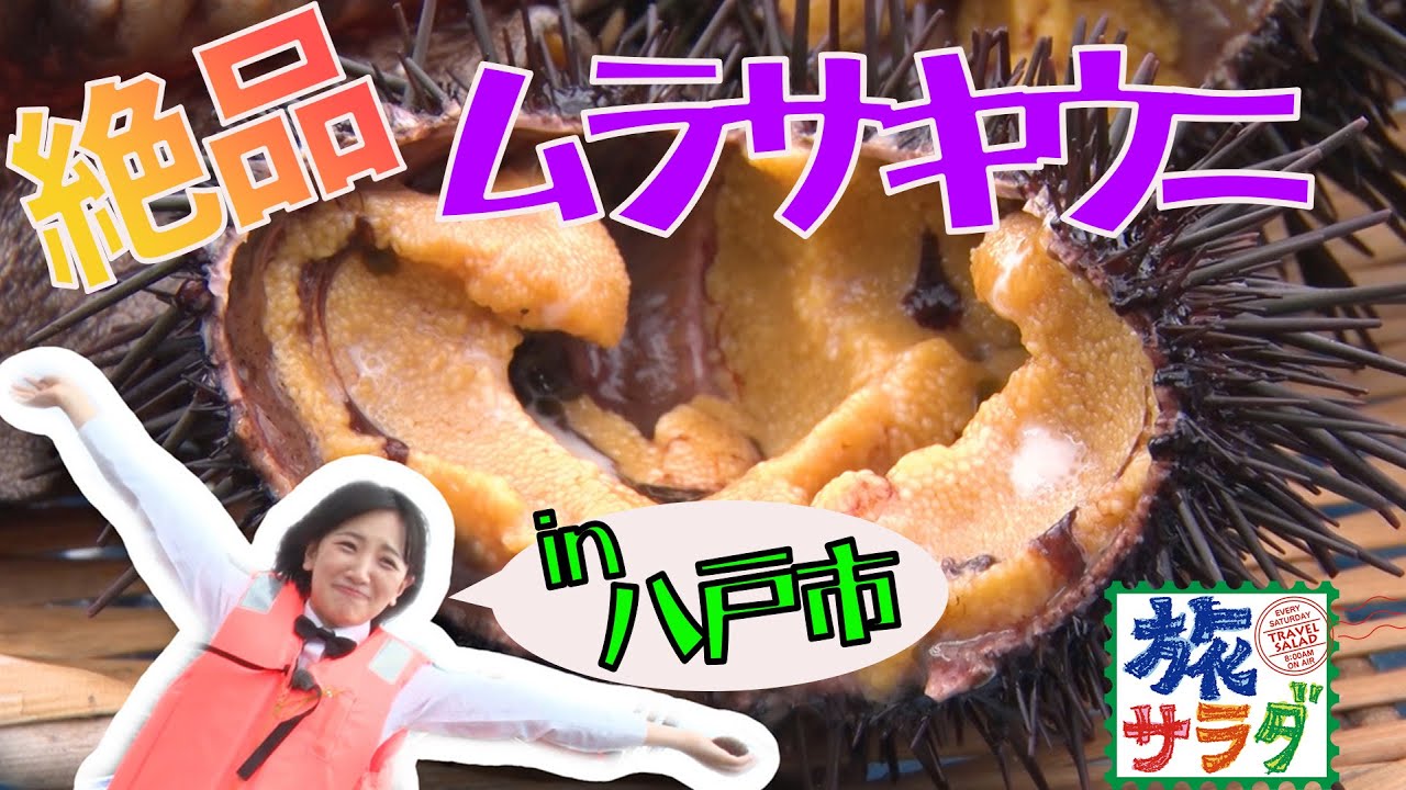 東、八戸のウニに出るか！？　コレうに～