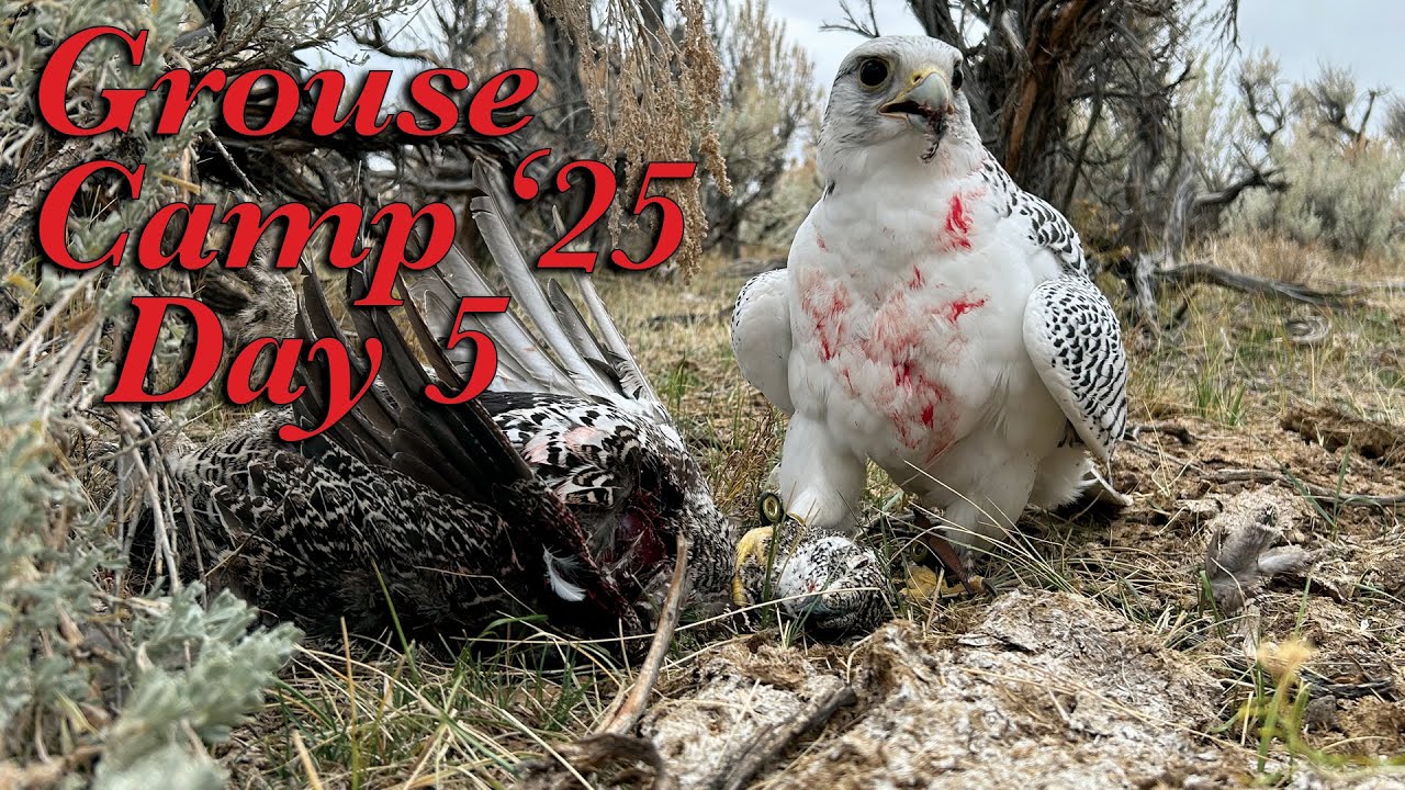 Лагерь «Граус 2025», день 5 (10 октября 2025 г.)