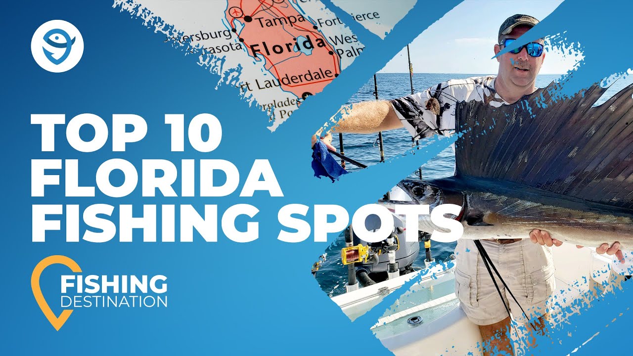 Top 10 Florida Fishing Spots | FishingBooker