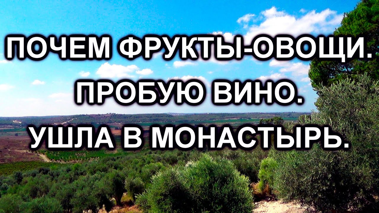 746.Винодельня Мони                                         Монастырь Дир Рафат
