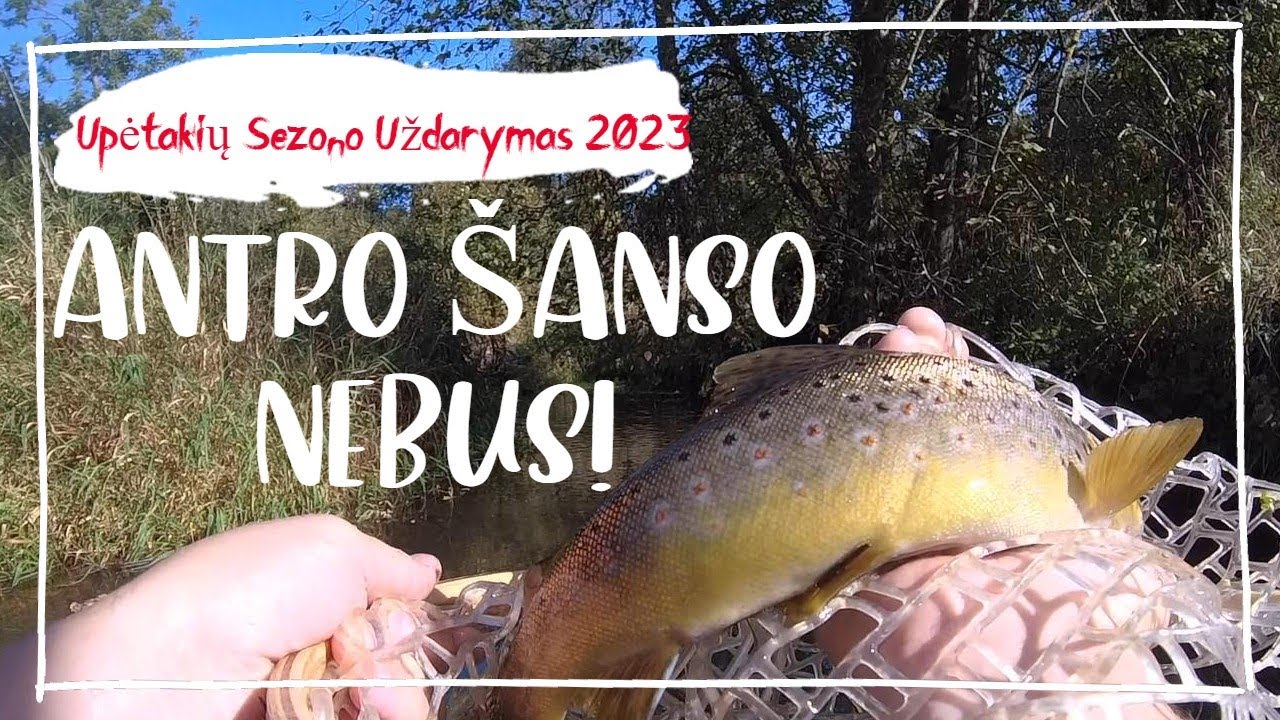 Upėtakių Žvejyba Rudenį. Sezono Uždarymas 2023
