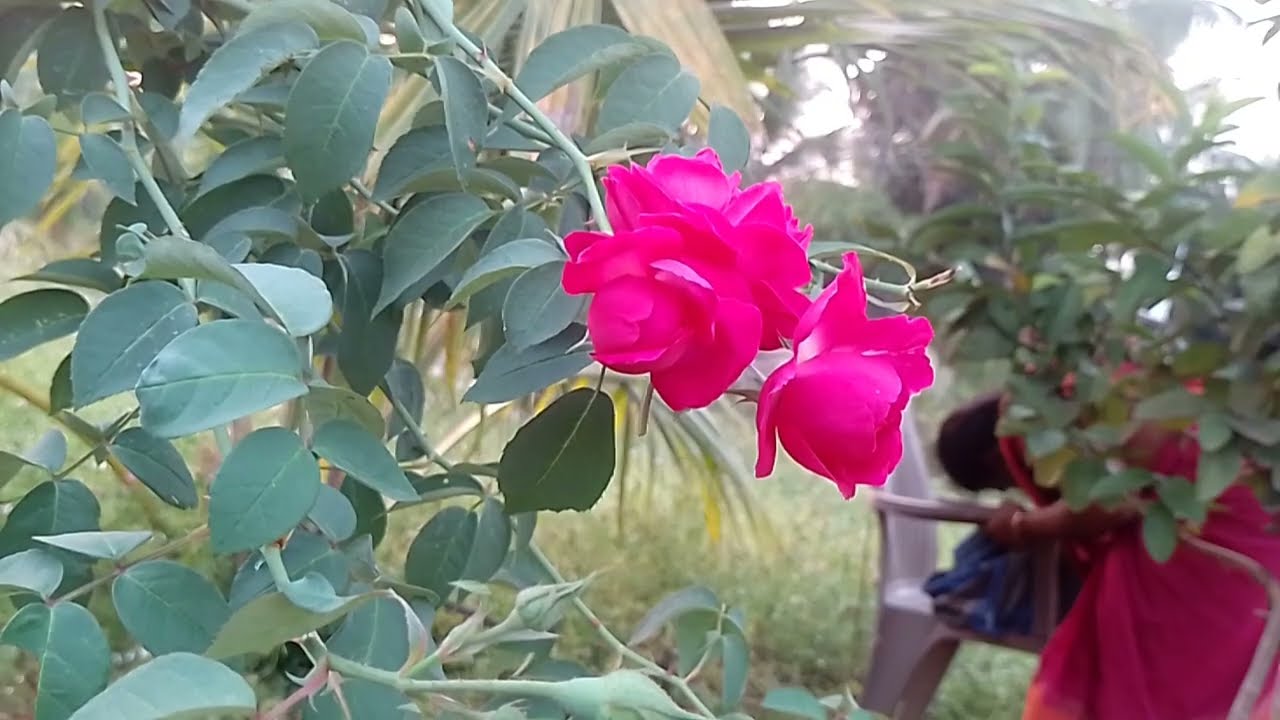  4 பிப் மித்ரா துறையின் தில்லாலங்கடி வேலையை கண்டுபிடித்த ஆதி 