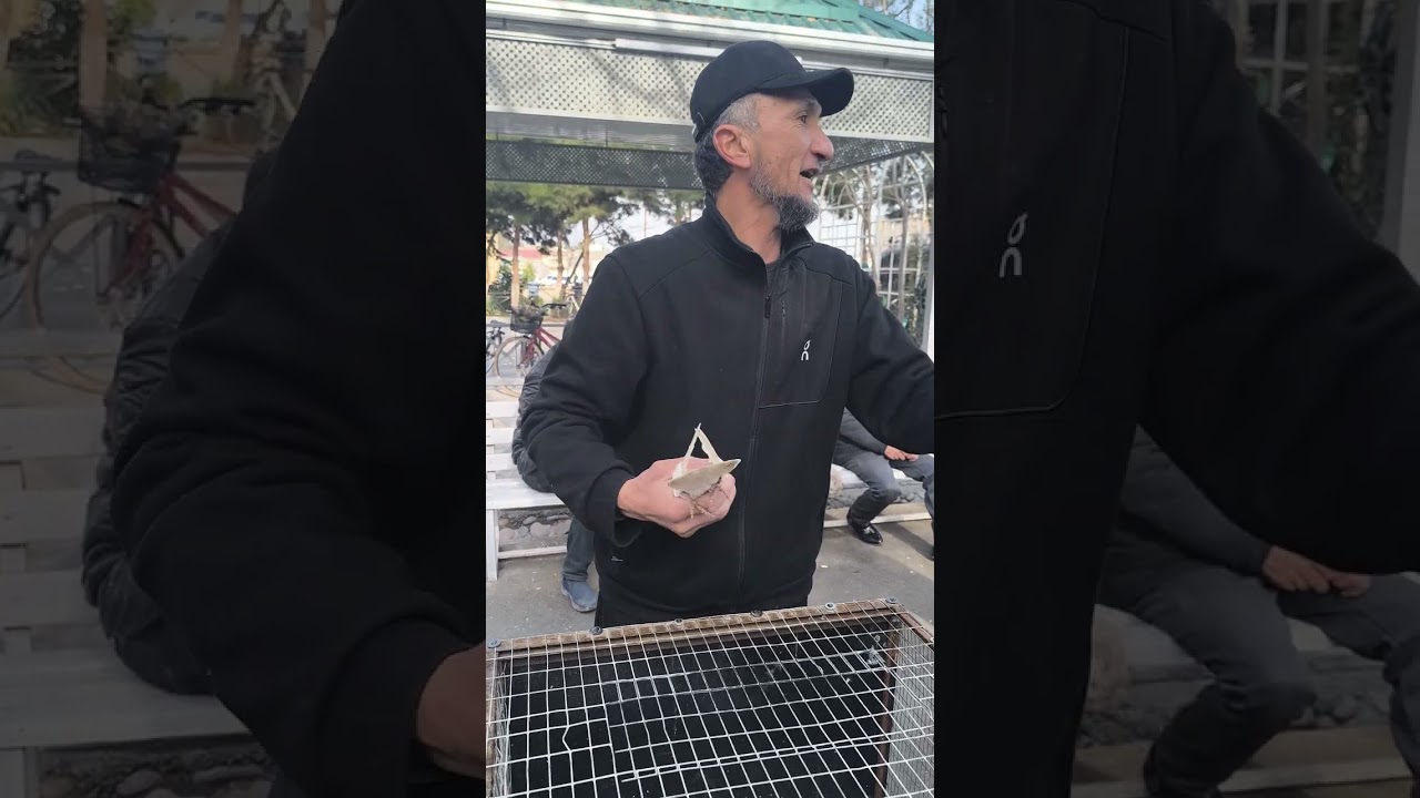 15 февраля 2026 г.