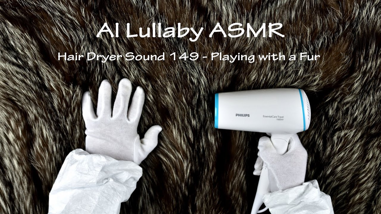 Hair Dryer Sound 149 | Playing with a Fur | 1 Hour Extended Version