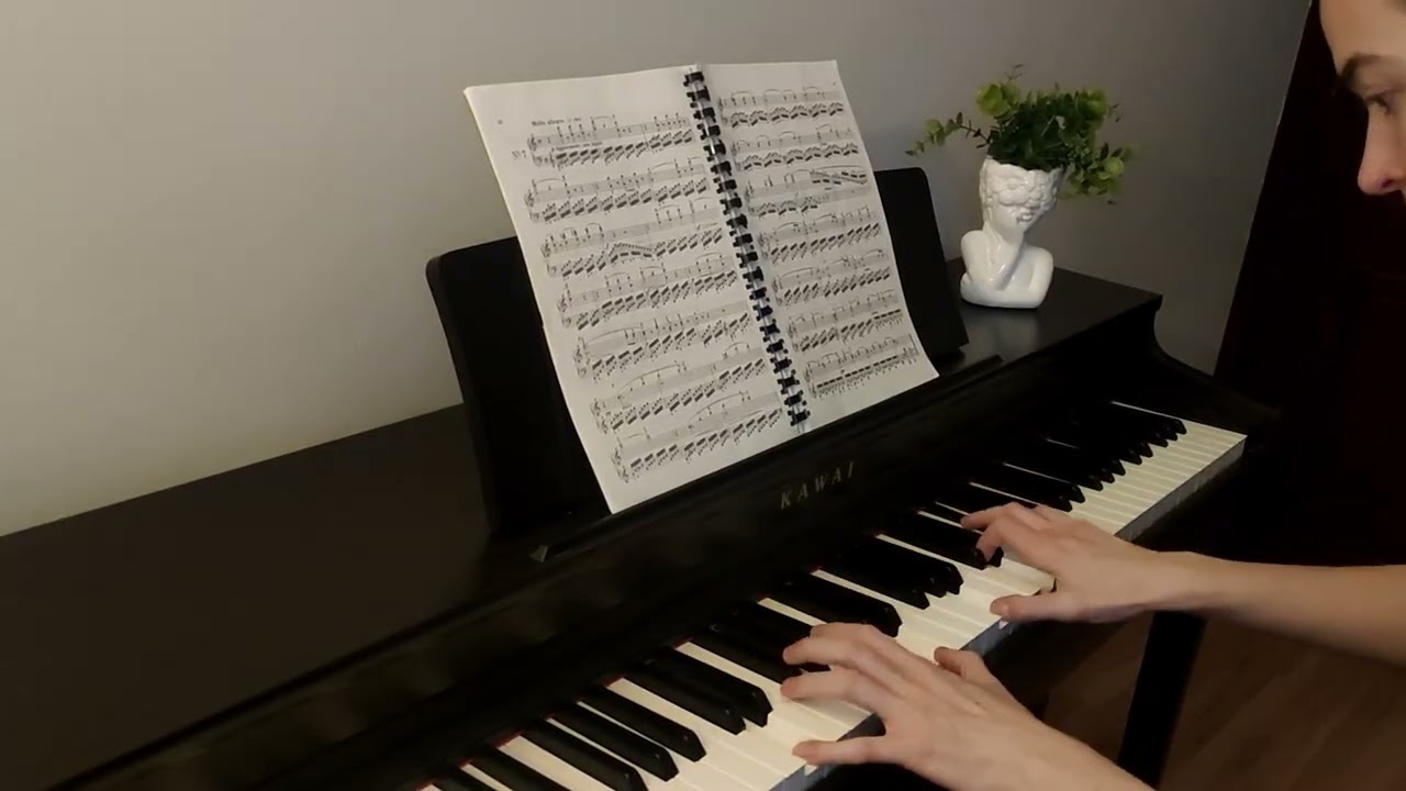 Kinderszenen, Op. 15, No.11 