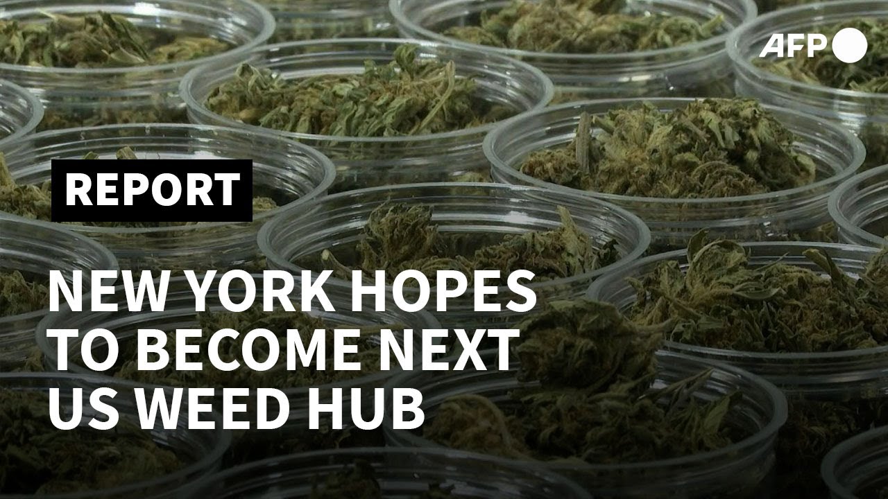 With weed legal, New York looks to become next US marijuana hub | AFP