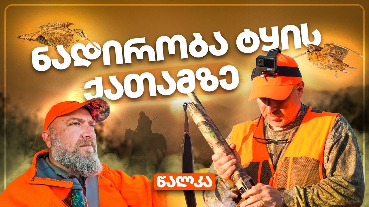 ნადირობა ტყის ქათამზე წალკაში