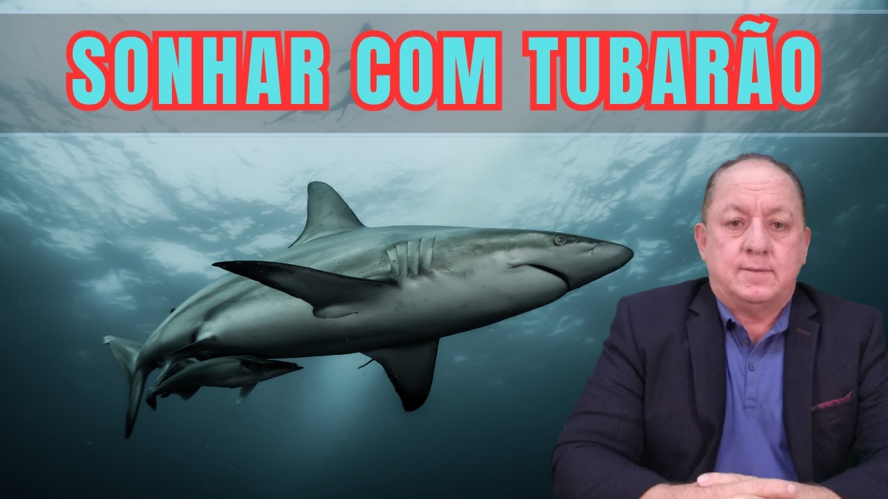 O QUE SIGNIFICA SONHAR COM TUBARÃO