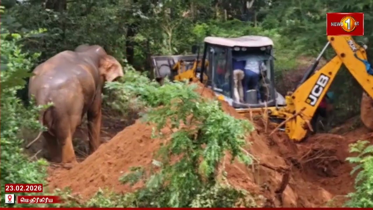 காட்டு யானையின் ஆக்ரோஷம் : உயிர் பயத்தில் மரத்திலேறிய மக்கள் #Medirigiriya #newsfirsttamil #RHT