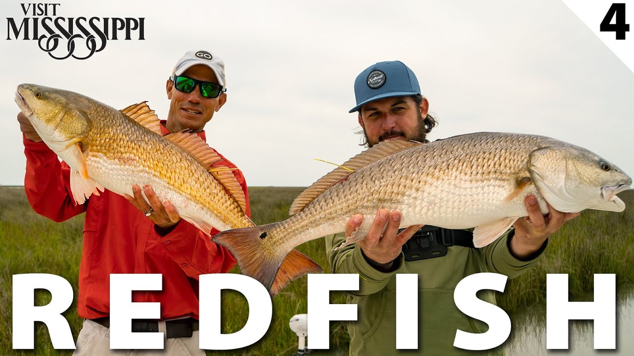 Tagging BIG Redfish in Remote Backcountry Marshes (CATCH CLEAN COOK) | Field Trips Mississippi