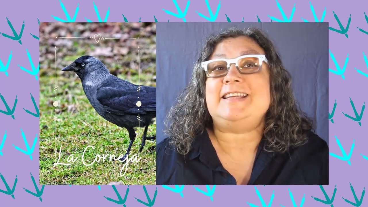 🐦   ​CORNEJA Animal de Poder, T&oacute;tem Corneja, significado del arquetipo Corneja
