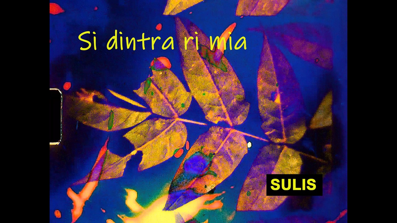 SULIS - SI D'INTRA RI MIA