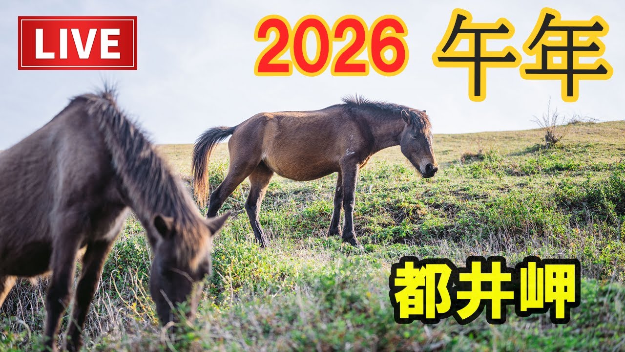 【2026午年】都井岬から新年のご挨拶