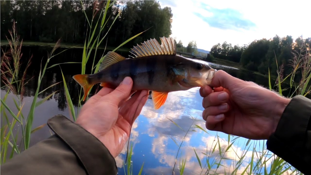 Fishing Trip in the middle of Sweden - V&auml;rmland