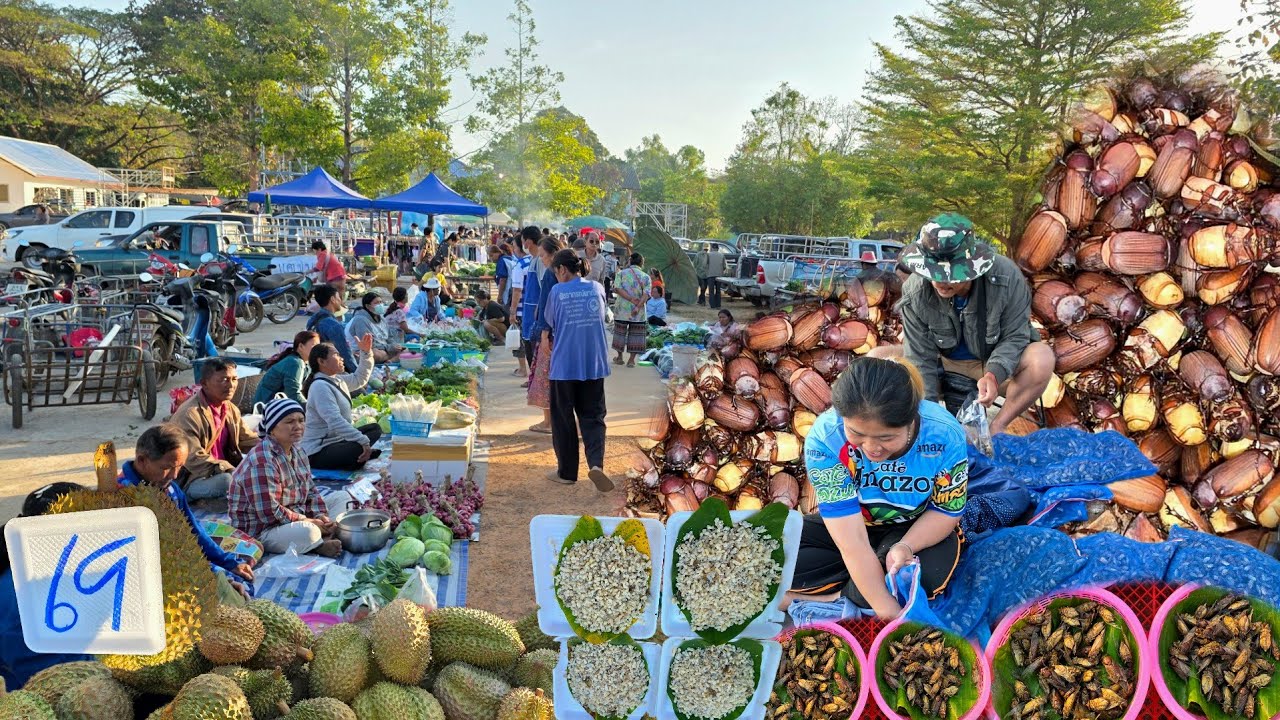 มาแล้ว‼️ จั๊กจั่น แมงจินูน ไข่มดแดง | ตลาดเช้ากุดข้าวปุ้น อุบลราชธานี