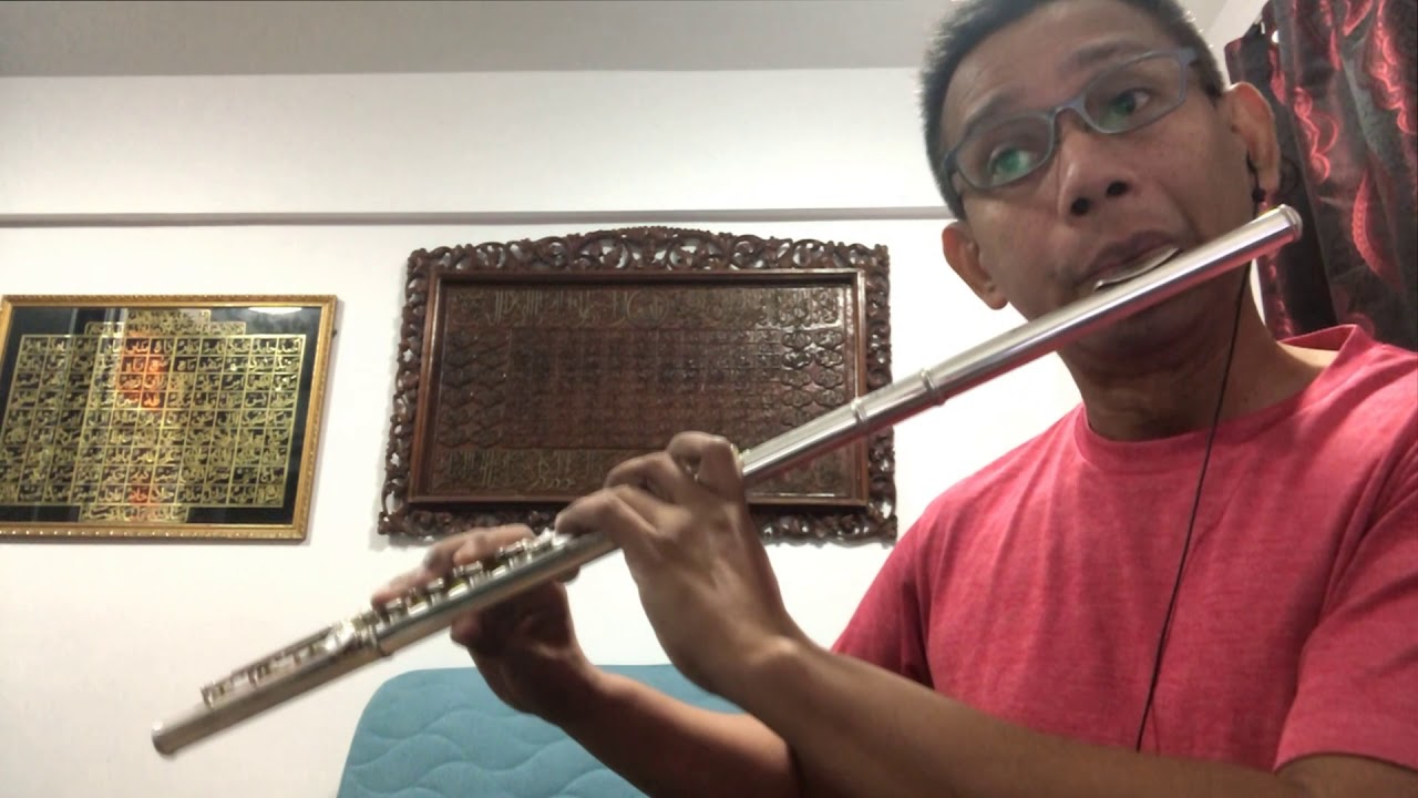 Dmitri Kabalevsky arr. Andre-Gilles Duchemin - Flute (Violin) Concerto, Movement 1