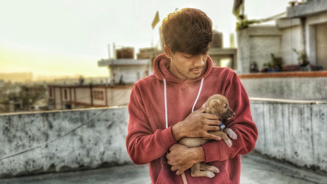 I ADOPTED A STREET DOG🐕