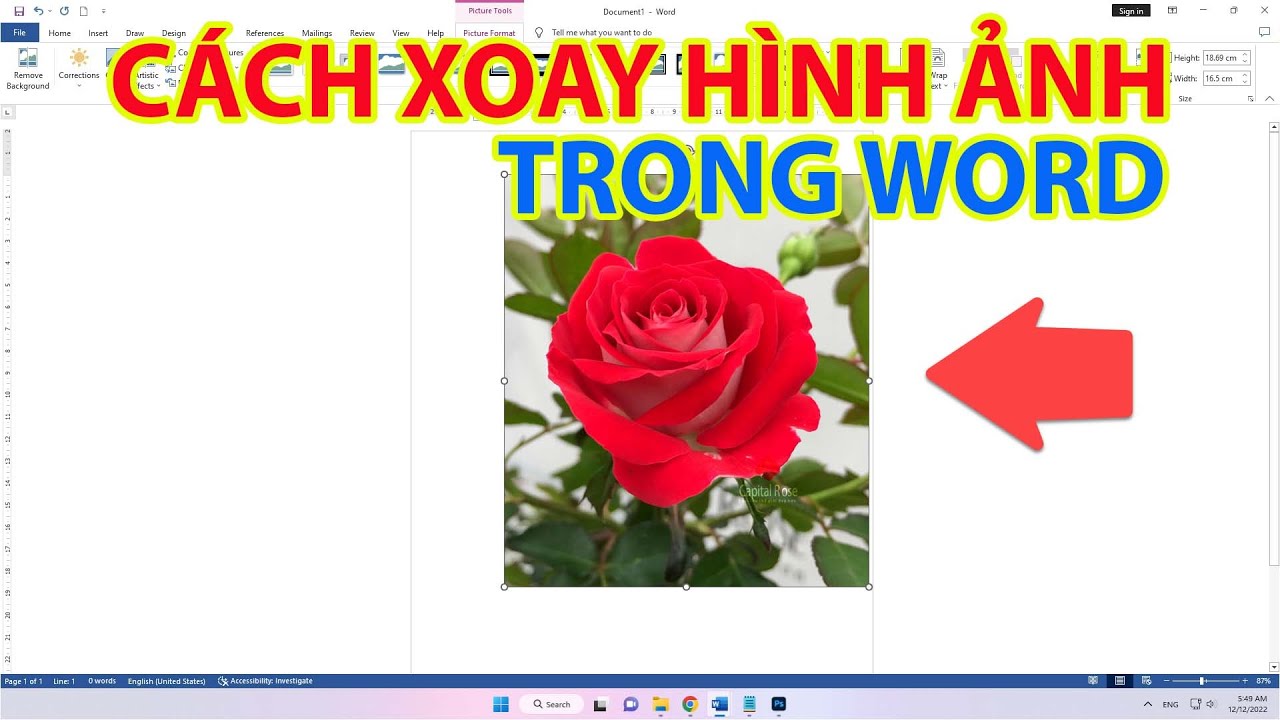 Mẹo Xoay Ảnh Trong Word |  Xoay Chiều Ảnh Trong Word