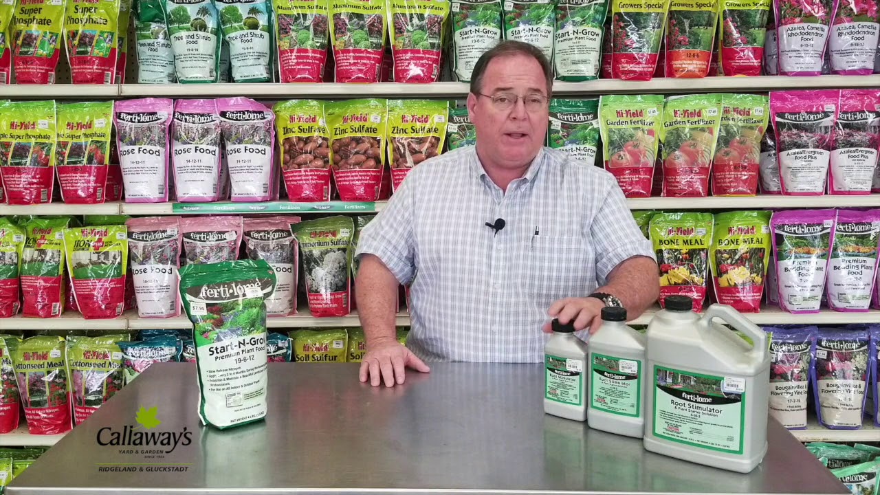 How to Use Root Stimulator