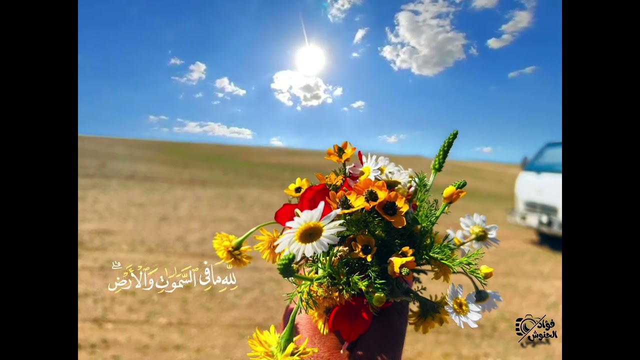 ارح مسمعك وقلبك من ضجيج الحياة
