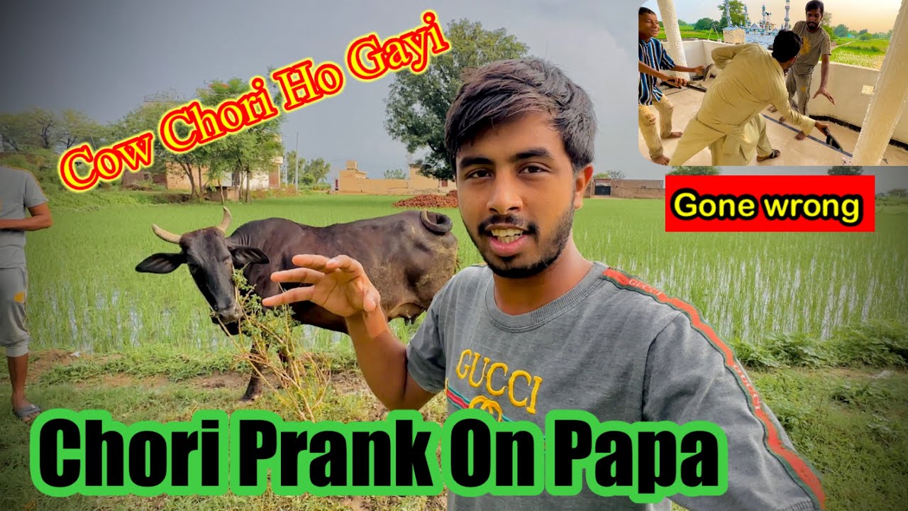 Prank On Papa 😂 Cow Chori Ho Gayi 😱Prank | Zohaib Pendu