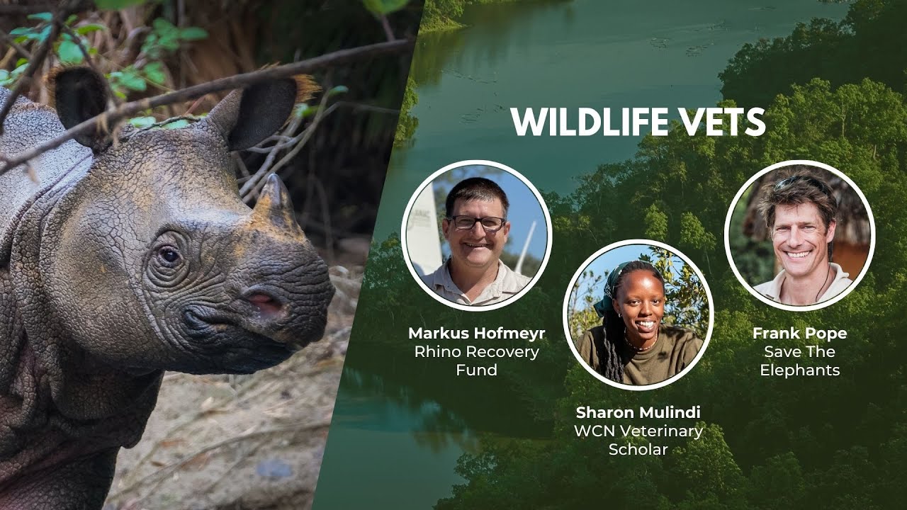 Wildlife Vets Share Their Experience in the Field | Wildlife Conservation Expo