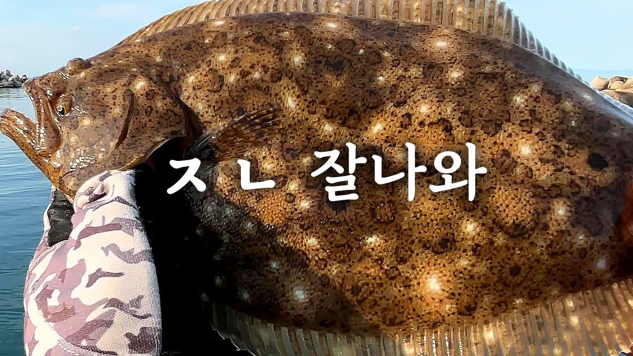겁나 잘 나오는 울진 루어낚시