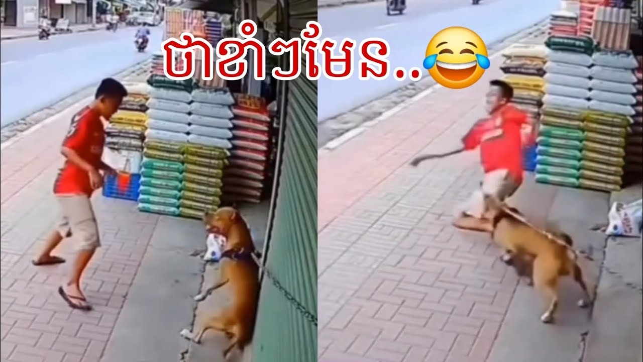 Funny ថាមែនៗ😂