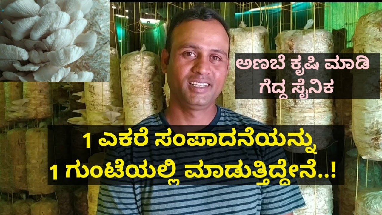 ಅಣಬೆ ಕೃಷಿ ಮಾಡಿ ಗೆದ್ದ ಸೈನಿಕ..! ದಿನಕ್ಕೆ 2 ಸಾವಿರ ಆದಾಯ ಸಿಗುತ್ತಿದೆ..!
