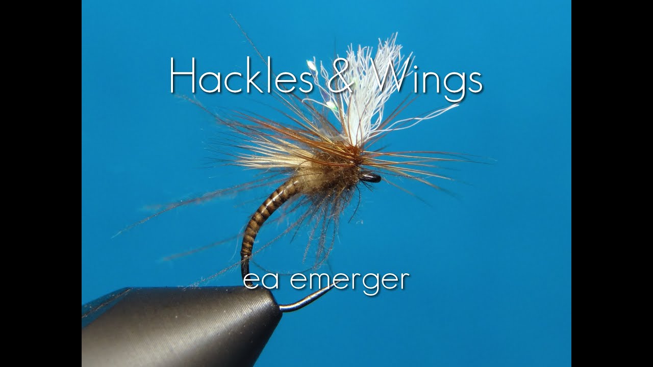 Fly Tying EA Emerger | Hackles & Wings