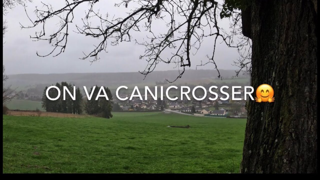 Canicross entrainement solo