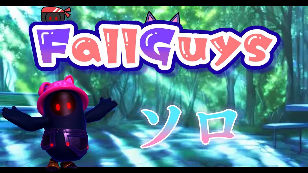👑20395~【Fall Guys/ フォールガイズ】ソロ【スナイプ歓迎】
