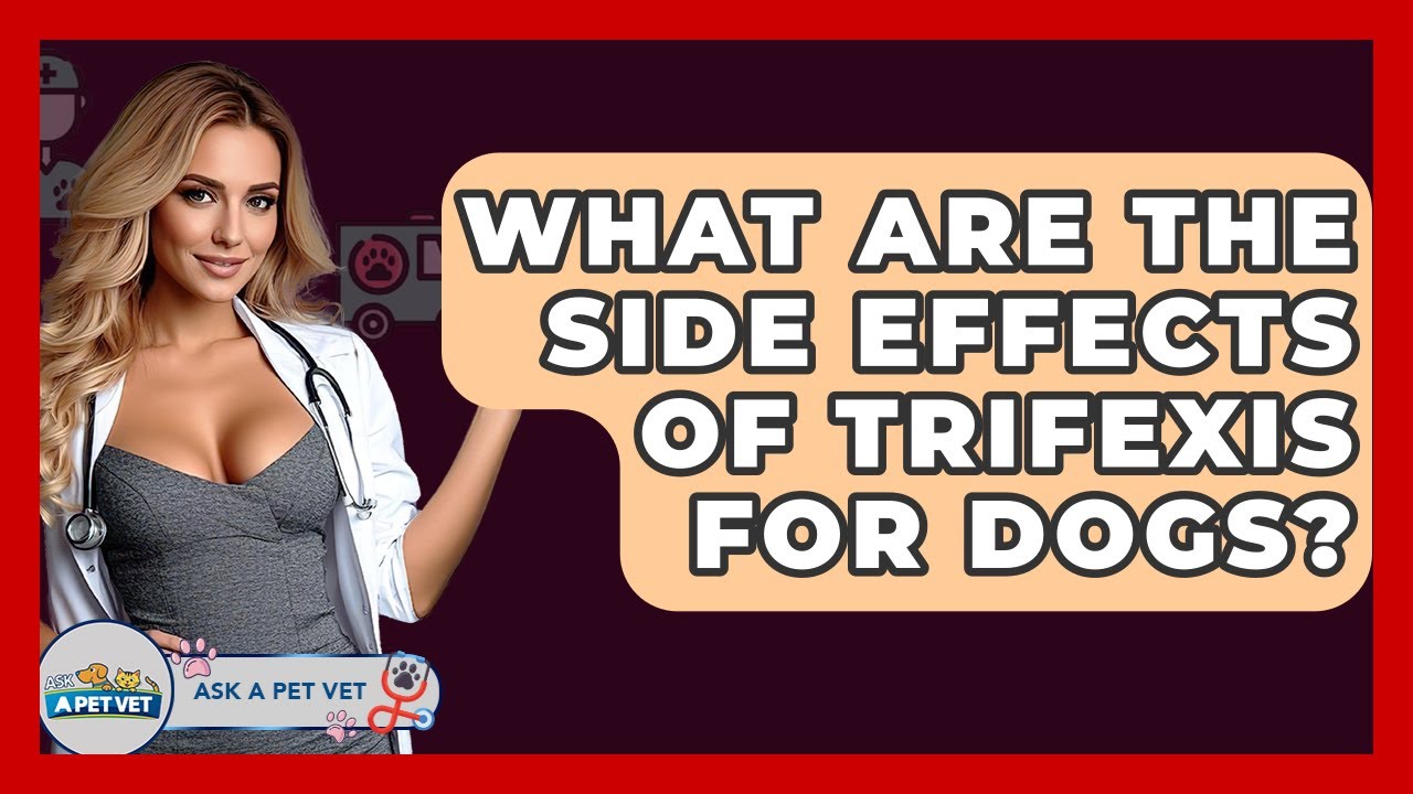 What Are The Side Effects Of Trifexis For Dogs? - Ask A Pet Vet