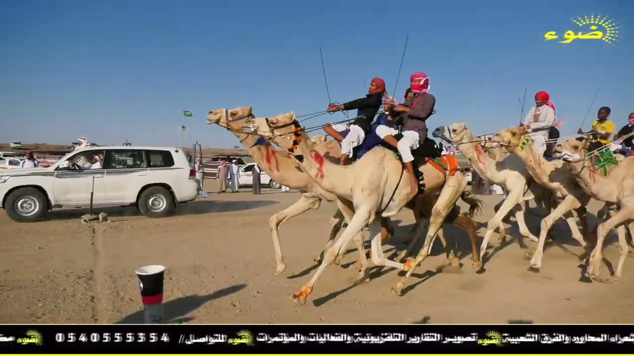 حفل زواج : زياد محمد سليم العديساني _ المويلح _ ٢٤ / ٦ / ١٤٤٥ هـ