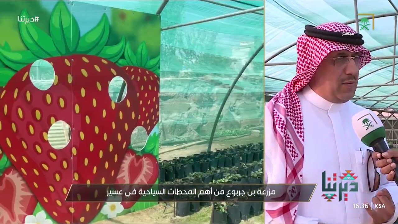 ديرتنا | مزرعة بن جربوع بمدينة أبها.. من أهم المحطات السياحية التي تحتضن العديد من المنتجات الزراعية