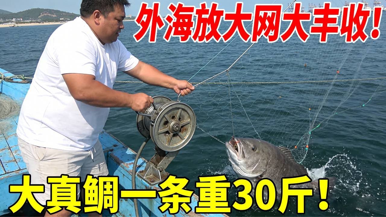 外海放大网大丰收，收获二三十条大真鲷，还有八斤重的金鲳鱼#赶海#海鲜 #渔民生活实拍
