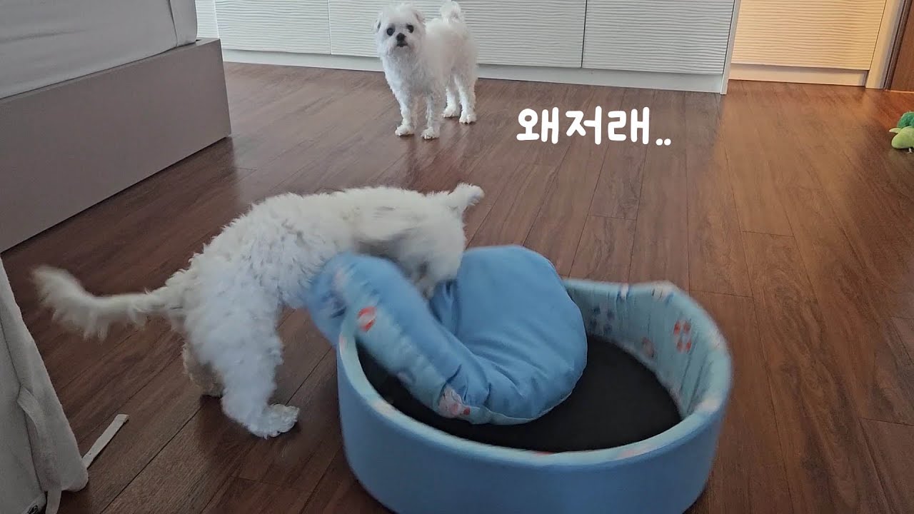 누나의 외출준비