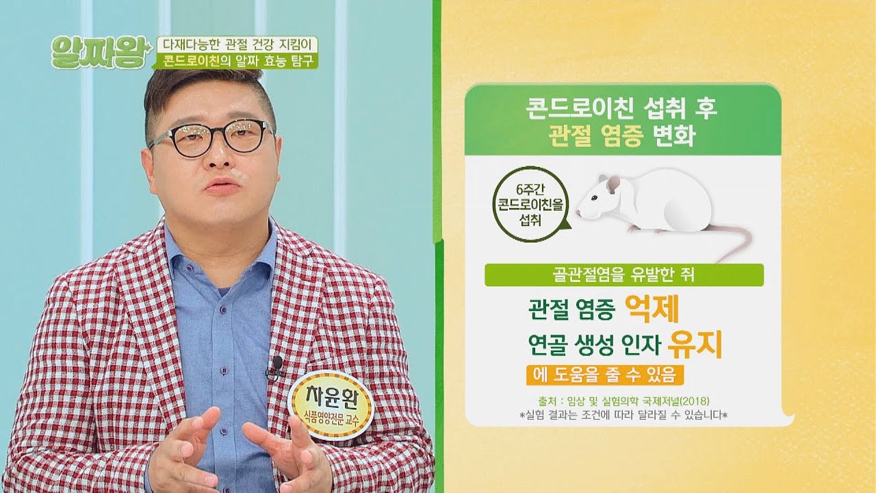 ※모두 주목※ 관절 염증 억제시키는 [콘드로이친] TV정보쇼 알짜왕(alzzaking) 265회 | JTBC 220331 방송