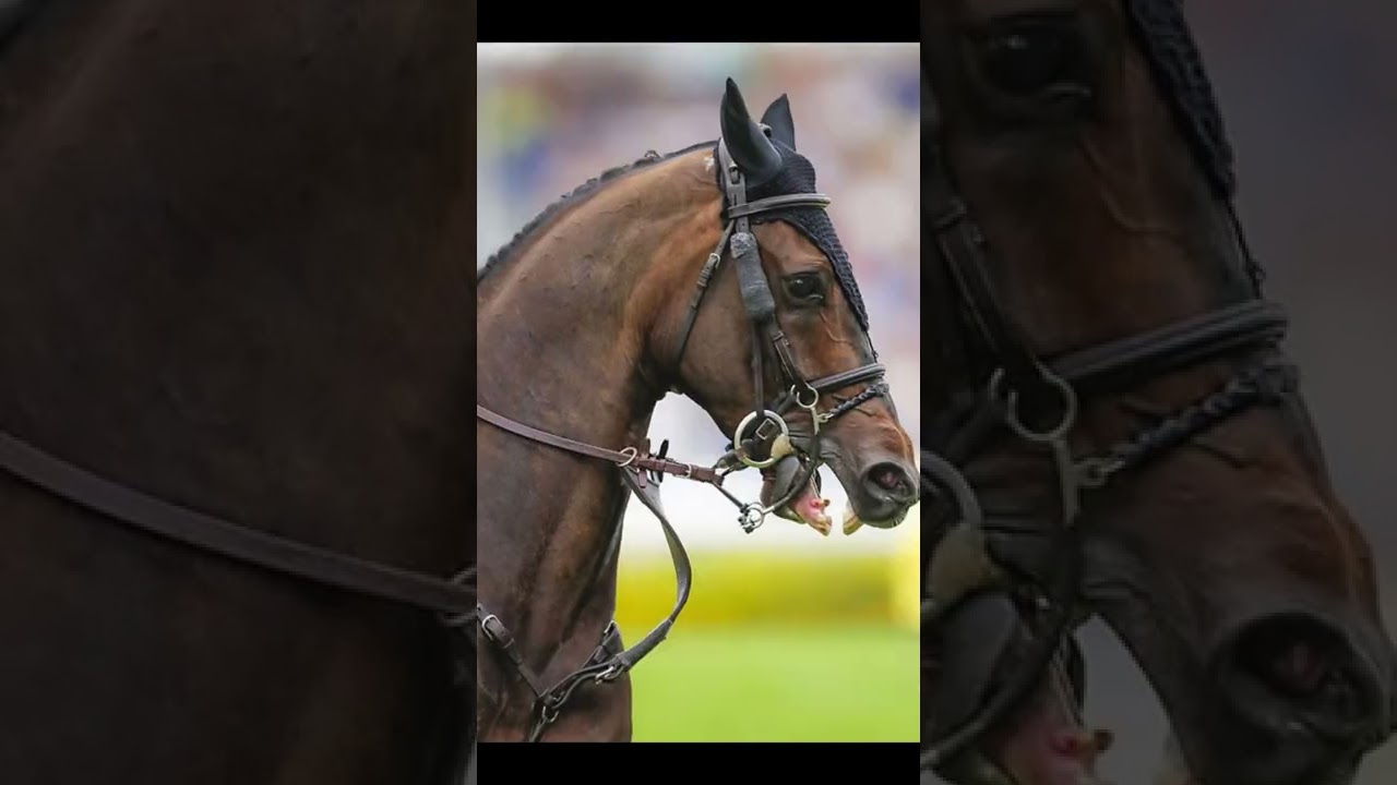 The Darkside of horseback riding