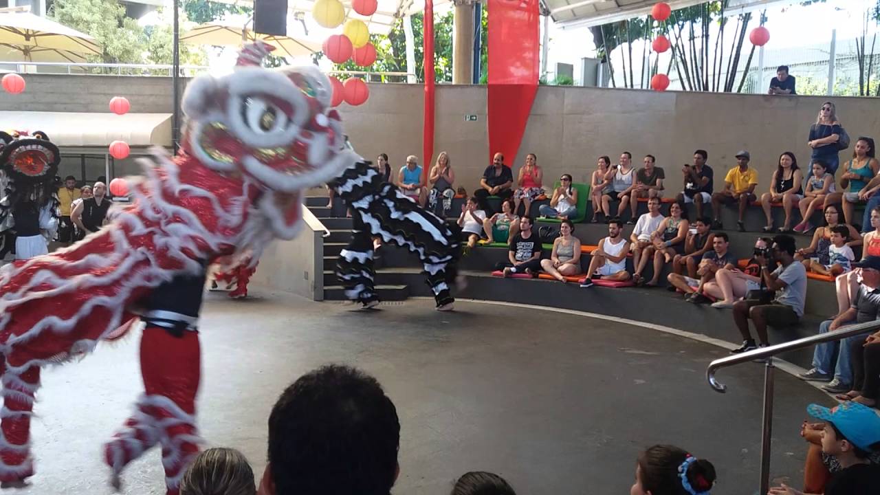 Academia Dragão Chinês - Dança do Leão