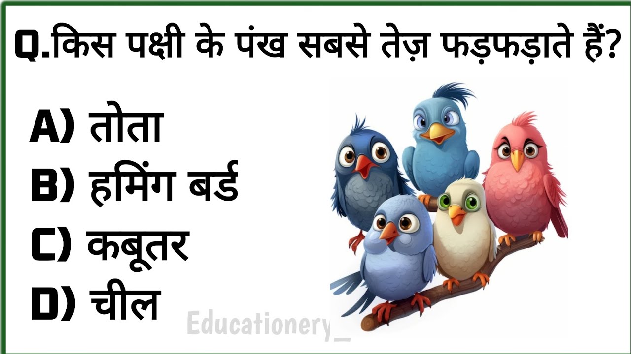 Gk in hindi | Gk Questions and Answer | Gk Questions | Gk Quiz |