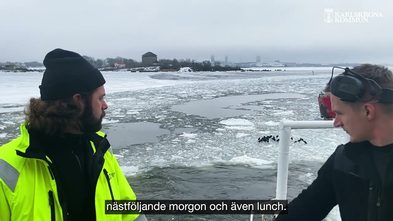 Bogserbåten Karl