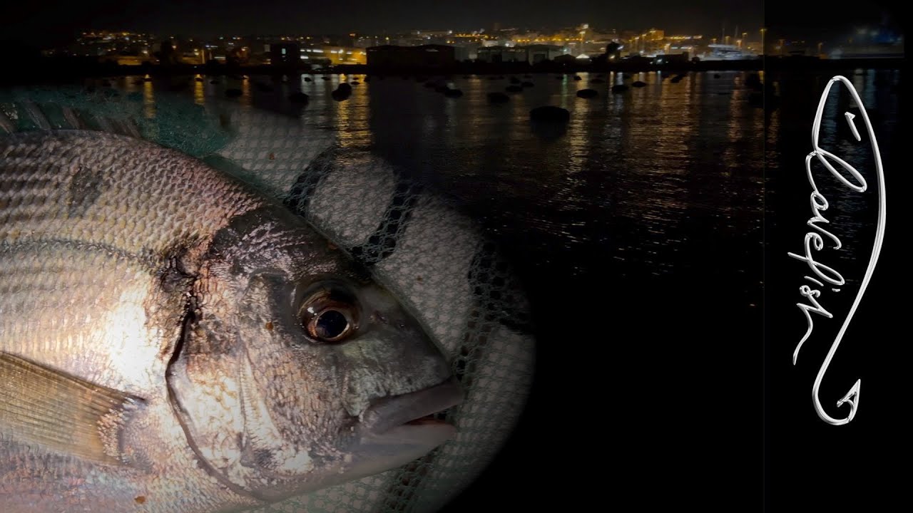 Una pescata notturna tra amici: tra orate e cozze!