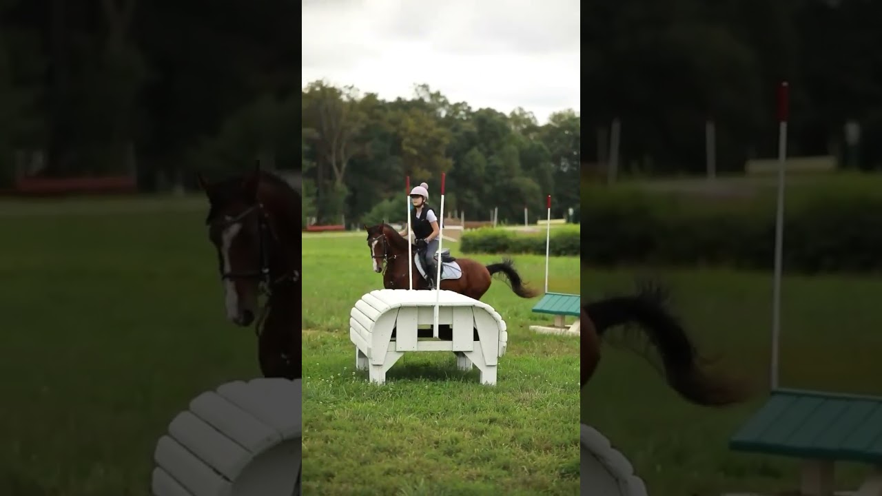 #youngrider #usea #eventer #ponies #horse #equestrian
