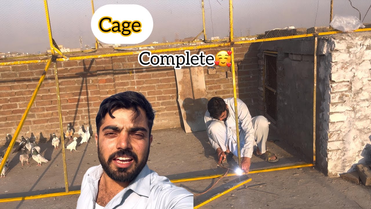 Cage ka nicha door wala kam complete hp ghia🥰🕊️